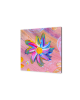235/56/8/0419