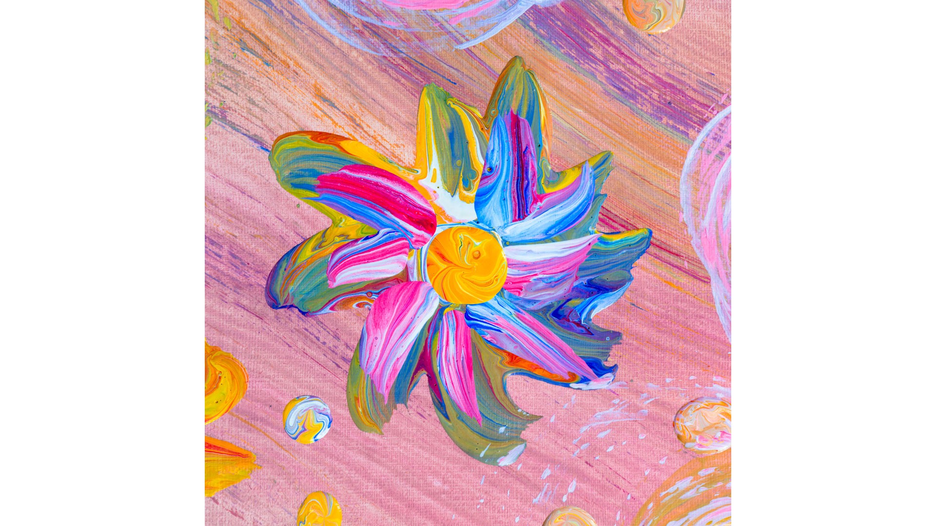 235/56/8/0419